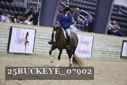 25BUCKEYE_07902 thumbnail