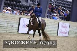 25BUCKEYE_07903 thumbnail