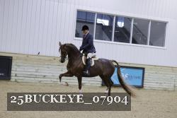 25BUCKEYE_07904 thumbnail
