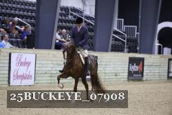 25BUCKEYE_07908 thumbnail