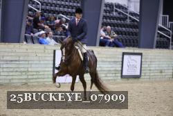 25BUCKEYE_07909 thumbnail