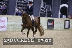 25BUCKEYE_07910 thumbnail