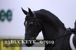 25BUCKEYE_07919 thumbnail