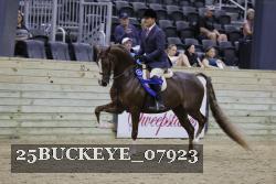 25BUCKEYE_07923 thumbnail
