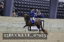 25BUCKEYE_07925 thumbnail