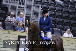 25BUCKEYE_07926 thumbnail