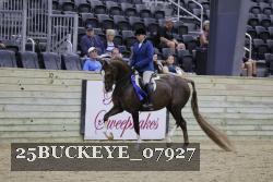 25BUCKEYE_07927 thumbnail