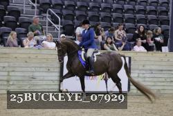 25BUCKEYE_07929 thumbnail