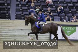 25BUCKEYE_07930 thumbnail