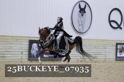 25BUCKEYE_07935 thumbnail