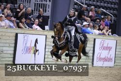 25BUCKEYE_07937 thumbnail