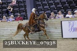 25BUCKEYE_07938 thumbnail