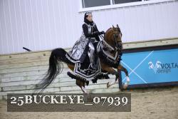 25BUCKEYE_07939 thumbnail