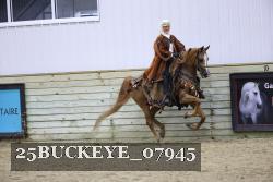 25BUCKEYE_07945 thumbnail