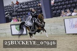 25BUCKEYE_07946 thumbnail