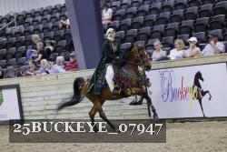 25BUCKEYE_07947 thumbnail