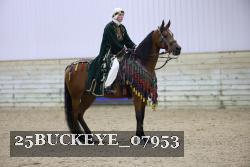 25BUCKEYE_07953 thumbnail