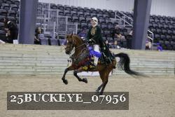 25BUCKEYE_07956 thumbnail
