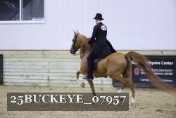 25BUCKEYE_07957 thumbnail