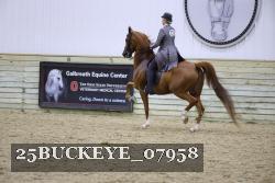 25BUCKEYE_07958 thumbnail