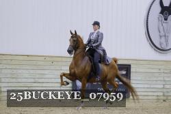 25BUCKEYE_07959 thumbnail