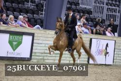 25BUCKEYE_07961 thumbnail