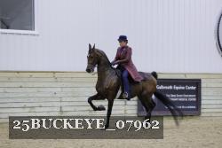 25BUCKEYE_07962 thumbnail