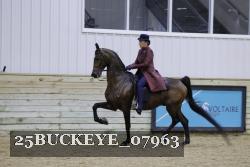 25BUCKEYE_07963 thumbnail