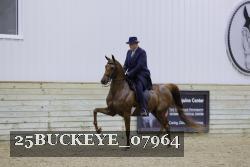 25BUCKEYE_07964 thumbnail
