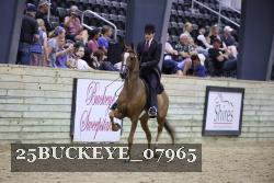 25BUCKEYE_07965 thumbnail