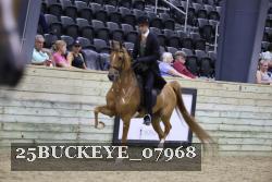 25BUCKEYE_07968 thumbnail
