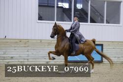 25BUCKEYE_07969 thumbnail