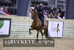 25BUCKEYE_07970 thumbnail