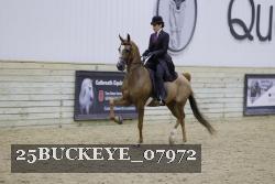 25BUCKEYE_07972 thumbnail