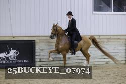 25BUCKEYE_07974 thumbnail