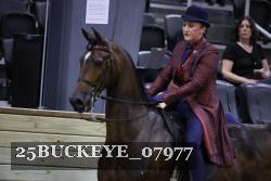 25BUCKEYE_07977 thumbnail