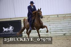 25BUCKEYE_07978 thumbnail