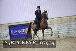 25BUCKEYE_07979 thumbnail
