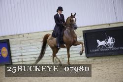 25BUCKEYE_07980 thumbnail