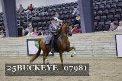 25BUCKEYE_07981 thumbnail