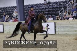25BUCKEYE_07982 thumbnail