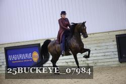 25BUCKEYE_07984 thumbnail