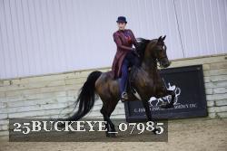 25BUCKEYE_07985 thumbnail