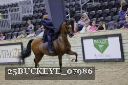 25BUCKEYE_07986 thumbnail