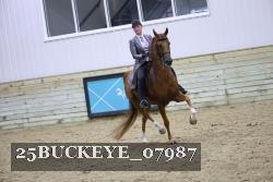 25BUCKEYE_07987 thumbnail
