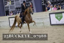 25BUCKEYE_07988 thumbnail