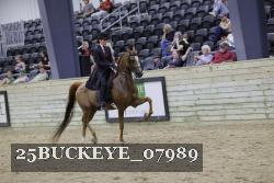 25BUCKEYE_07989 thumbnail