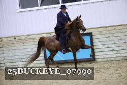 25BUCKEYE_07990 thumbnail