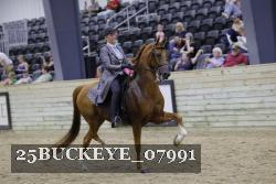 25BUCKEYE_07991 thumbnail