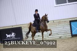 25BUCKEYE_07992 thumbnail